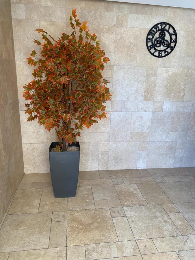 Mobersham'S House In Acre Apartment Екстериор снимка